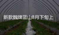 新款魏牌蓝山8月下旬上市 支持无图智驾